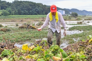  36번째