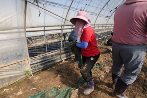 오송읍 수해복구 지원 28번째