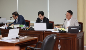 제96회 임시회 제3차 행정안전위원회 7번째