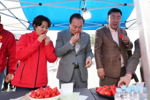 2026 청주 딸기 팝업 페스타 5번째