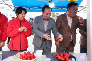 2026 청주 딸기 팝업 페스타 4번째