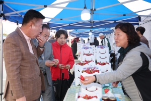 2026 청주 딸기 팝업 페스타 3번째