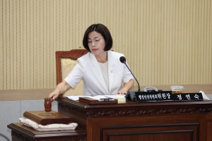 제104회 임시회 제1차 행정안전위원회 6번째