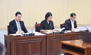 제105회 임시회 제1차 행정안전위원회 3번째