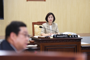 제105회 임시회 제1차 행정안전위원회 12번째
