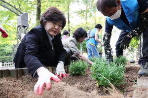산남동 통장협의회 가을꽃 식재 1번째